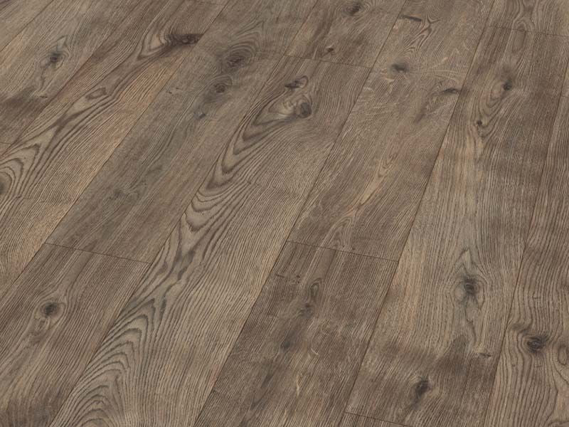 8723 Egger Laminat Basic Classic - 8 mm 4V BK 31 Grove Eiche graubraun EBL019 LHD