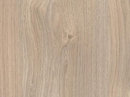 8702 Egger Laminat Basic Classic - 7 mm BK 31 Belfort Eiche silber EBL020 LHD