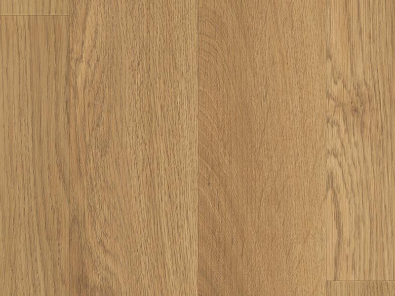 8719 Egger Laminat Basic Classic - 8 mm BK 31 Eiche Colmar EBL022 2-Stab